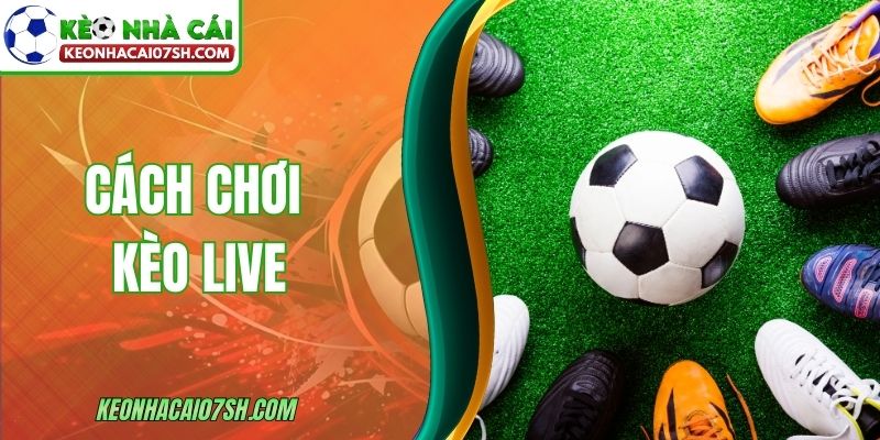 Cách Chơi Kèo Live - Hướng Dẫn Cơ Bản Cho Người Mới 6 Cách Chơi Kèo Live - Hướng Dẫn Cơ Bản Cho Người Mới