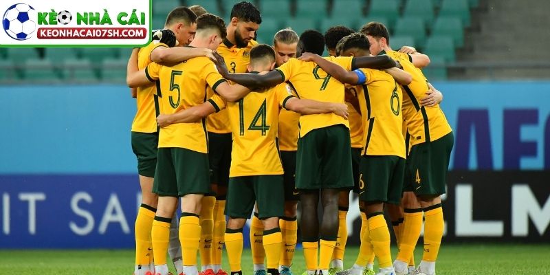 Kèo Bóng Đá Australia - Kinh Nghiệm Cược Dễ Áp Dụng 3 Cách đọc tỷ lệ cơ bản